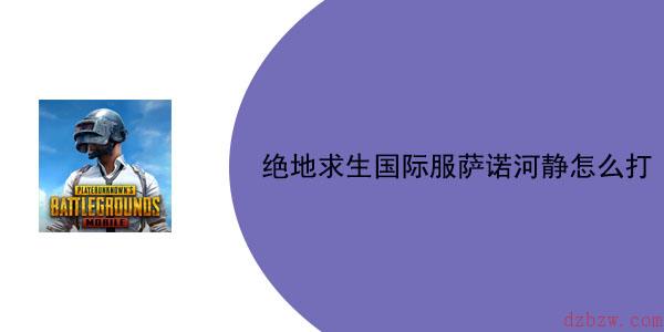 绝地求生国际服萨诺河静怎么打