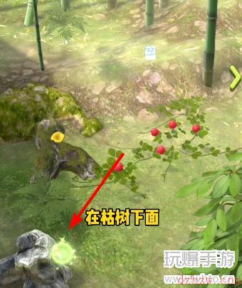 夺笋高手彩蛋大全