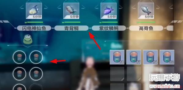 幻塔鱼怎么放进鱼缸展览