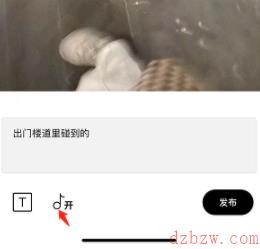 啫喱app动态怎么添加配乐