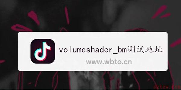 volumeshader_bm怎么打开