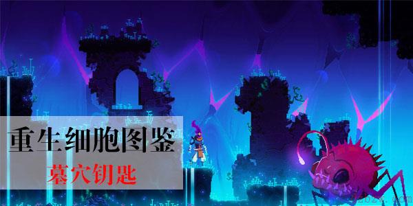 重生细胞墓穴钥匙怎么获得