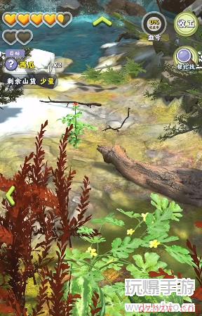 夺笋高手巨型阿魏无价之宝在哪