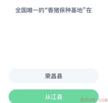全国唯一的香猪保种基地在