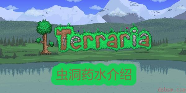泰拉瑞亚虫洞药水介绍