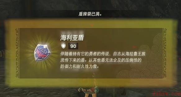 王国之泪海利亚盾碎了怎么办