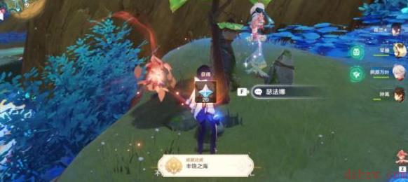原神净觉花位置