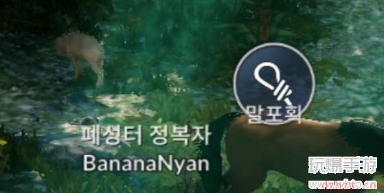 黑色沙漠手游怎么捉马