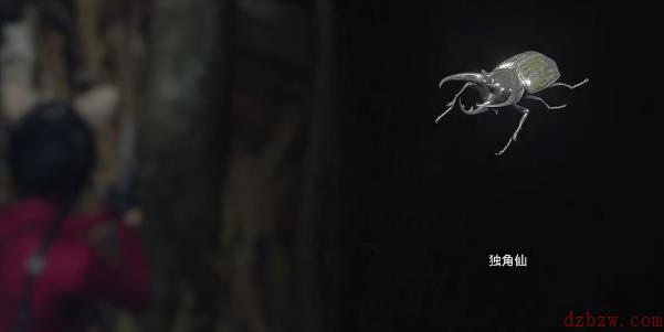 生化危机4重制版独角仙获取攻略