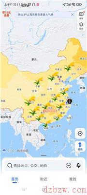 高德地图水稻怎么弄