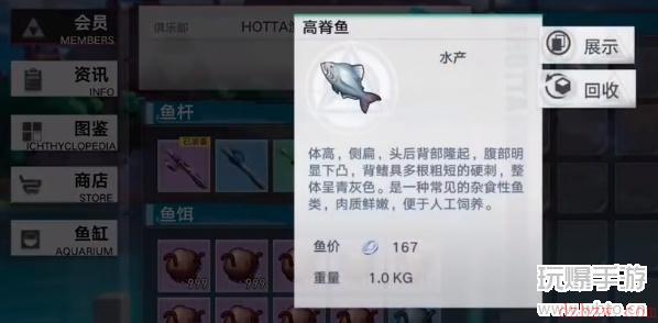 幻塔鱼怎么放进鱼缸展览