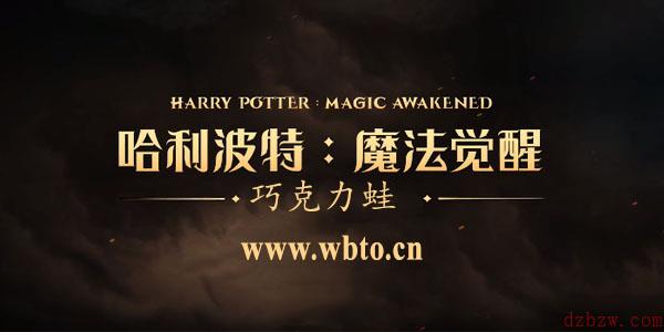 哈利波特巧克力蛙npc9.28