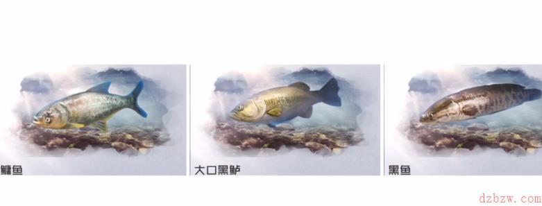 黎明觉醒钓鱼怎么钓