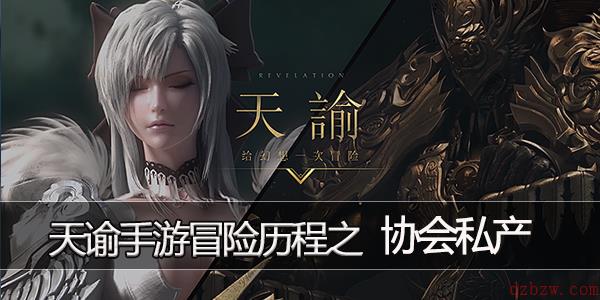 天谕手游协会私产