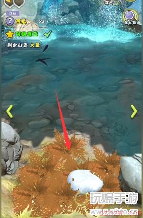 夺笋高手巨型阿魏无价之宝在哪