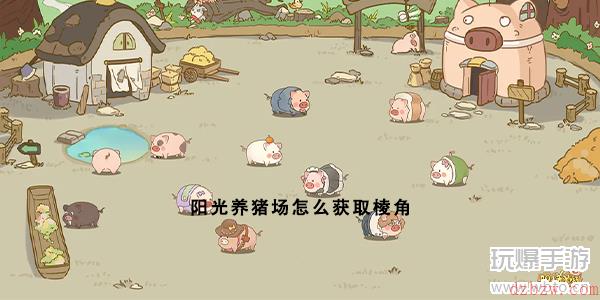 阳光养猪场怎么获取棱角