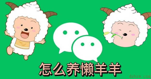 微信状态怎么养懒羊羊