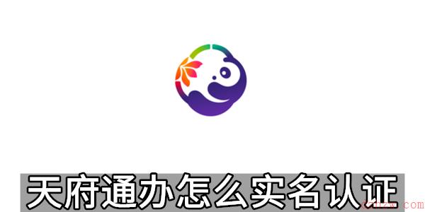 天府通办怎么实名认证