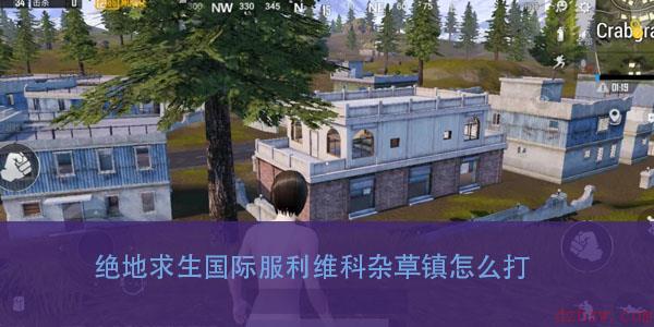 绝地求生国际服利维科杂草镇怎么打