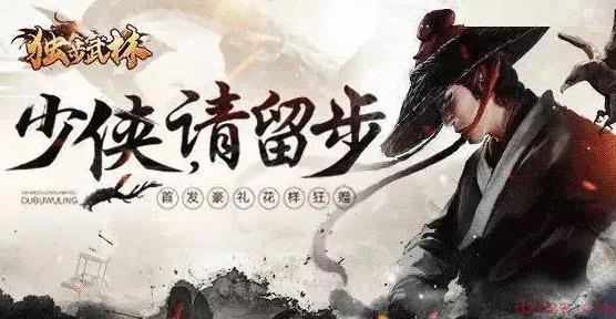 独步武林激活码大全