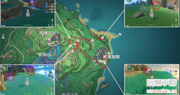 原神绯樱绣球收集路线