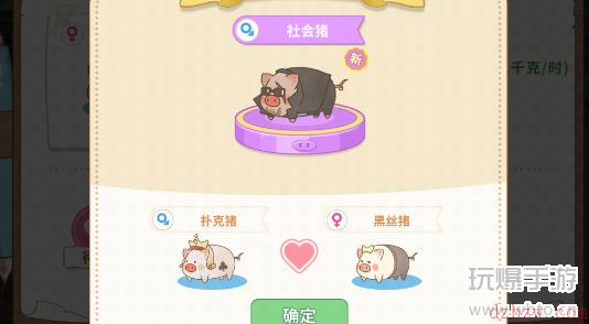 阳光养猪场激活码在哪领