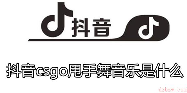 抖音csgo甩手舞音乐是什么