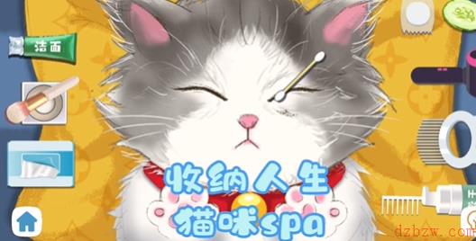 收纳人生喵喵SPA攻略