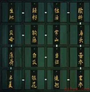 阴阳锅游戏第五章攻略