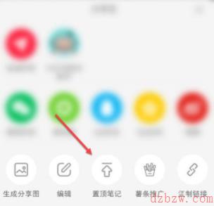 小红书如何置顶笔记
