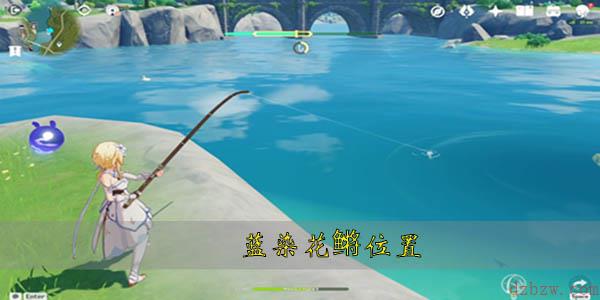 蓝染花鳉位置