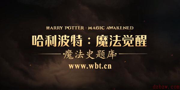 哈利波特魔法觉醒魔法史玩法攻略