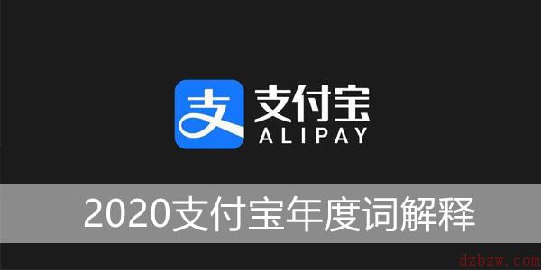 2020支付宝年度词解释