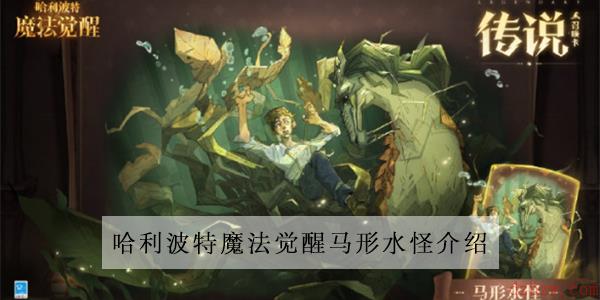 哈利波特魔法觉醒马形水怪介绍