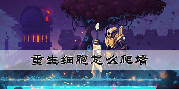 重生细胞怎么爬墙