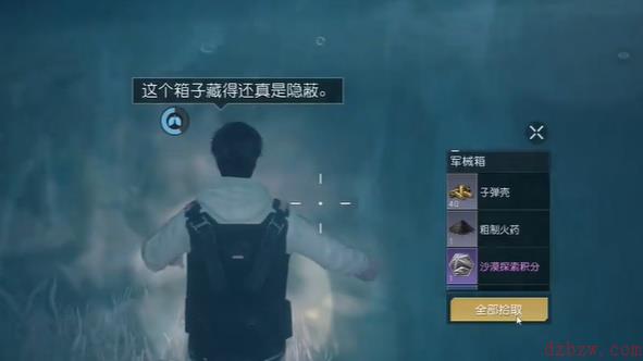 黎明觉醒金色沙漠沙漠绿洲探索宝箱