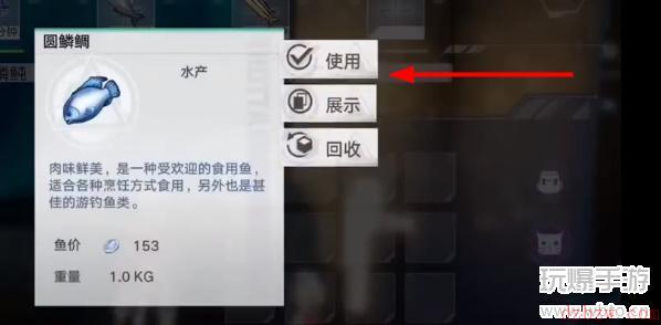 幻塔鱼怎么放进鱼缸展览