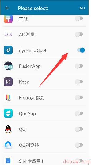 dynamicSpot怎么设置