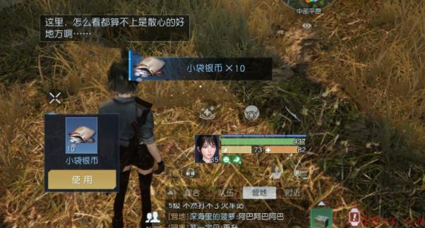 黎明觉醒平原藏宝图位置汇总