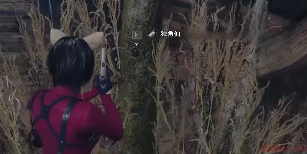 生化危机4重制版独角仙获取攻略