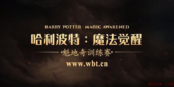 哈利波特魔法觉醒魁地奇训练赛玩法规则