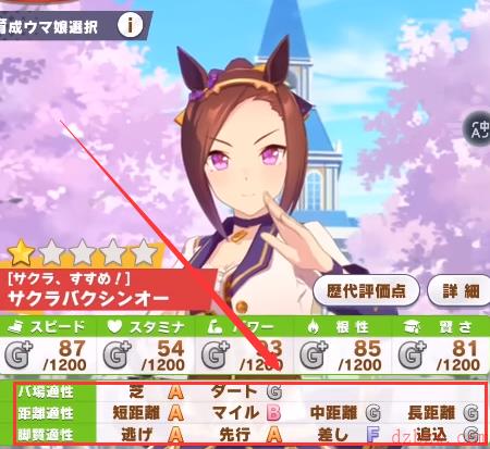 赛马娘台服赛事介绍