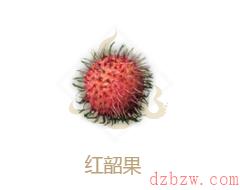 妄想山海辣红韶汤怎么做