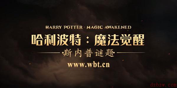 哈利波特魔法觉醒无名之书第三关