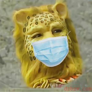 抖音金钱豹头像在哪里下载