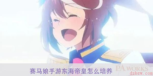 赛马娘手游东海帝皇怎么培养