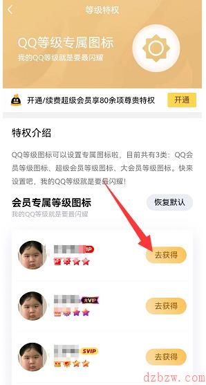 qq等级怎么更换图标