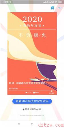 2020支付宝年度词解释