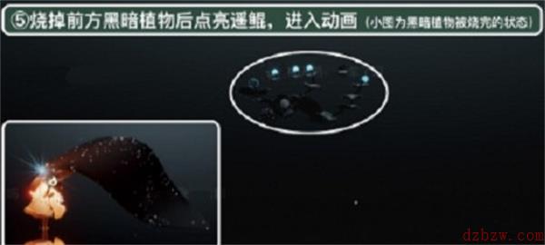 光遇潜海季第五个任务攻略