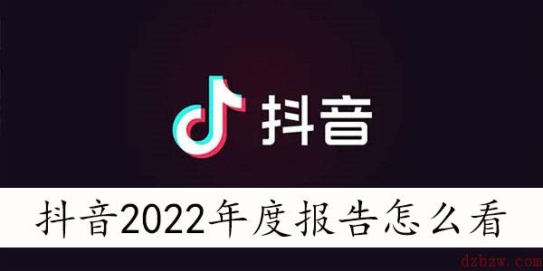 抖音2022年度报告怎么看